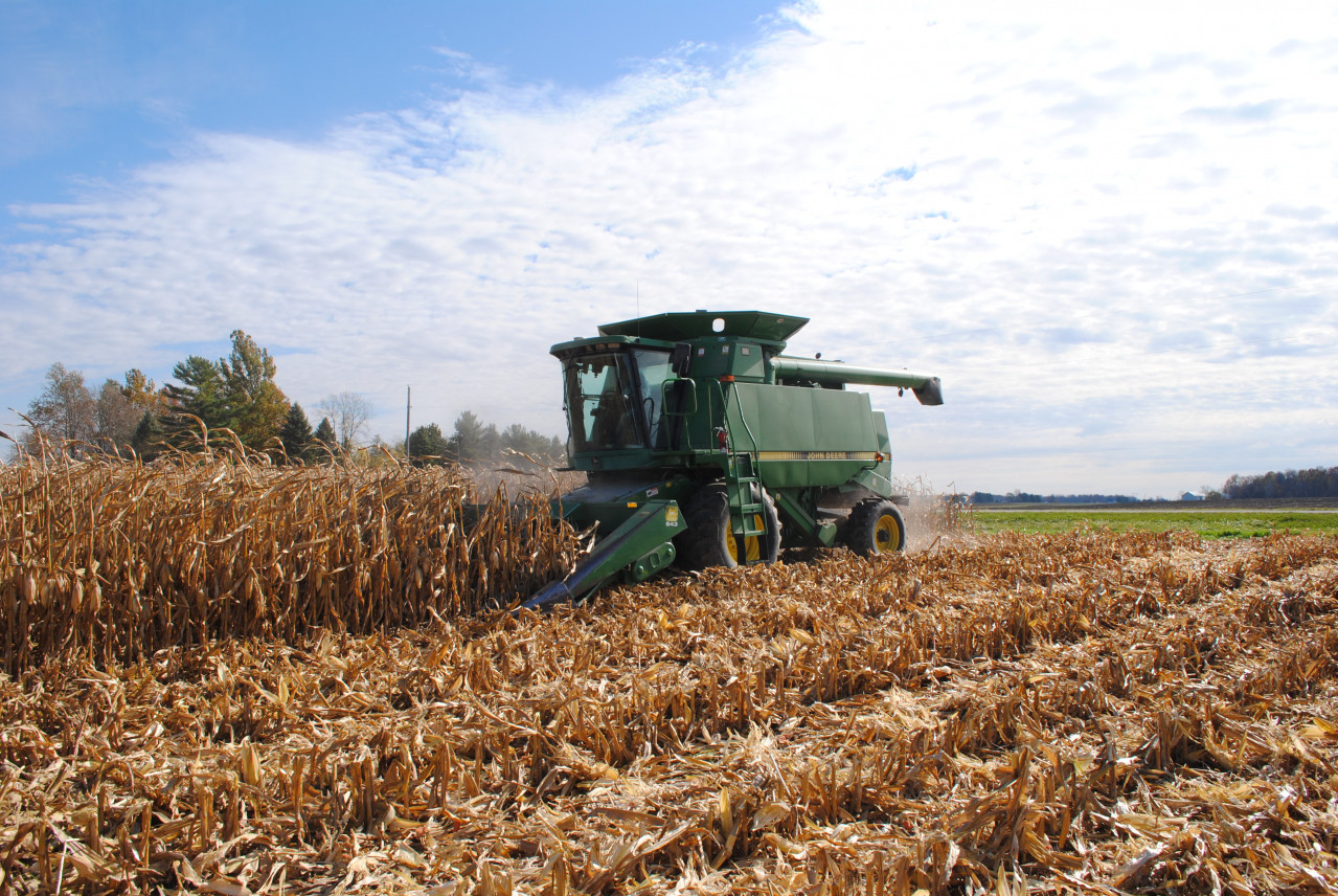 Agriculture | Huntington University