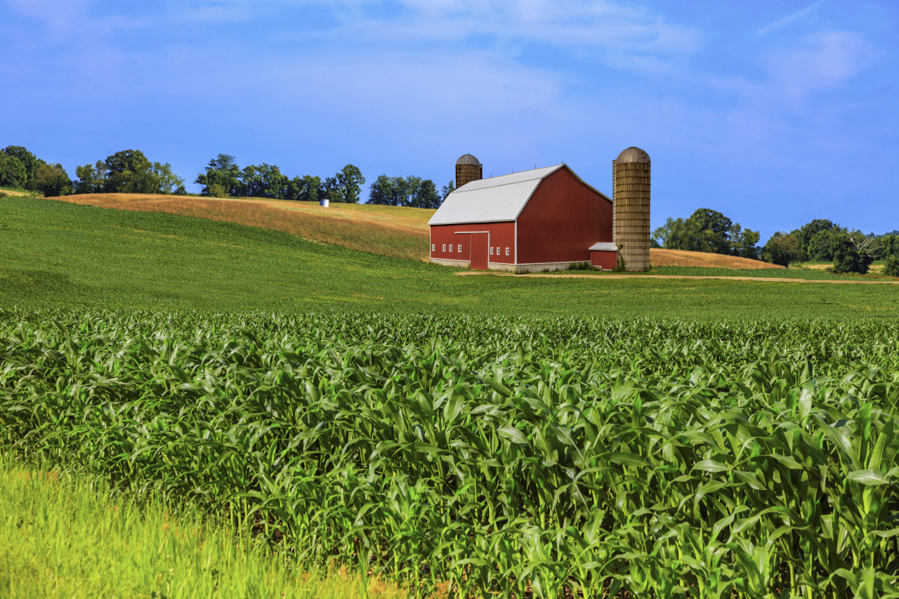 Animal Health + Veterinary Nursing | Huntington University