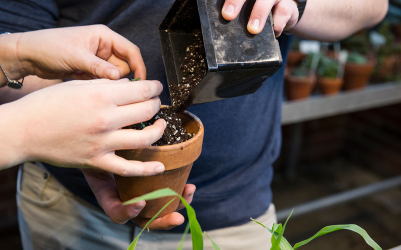 Agriculture, Biology, and Botany Courses