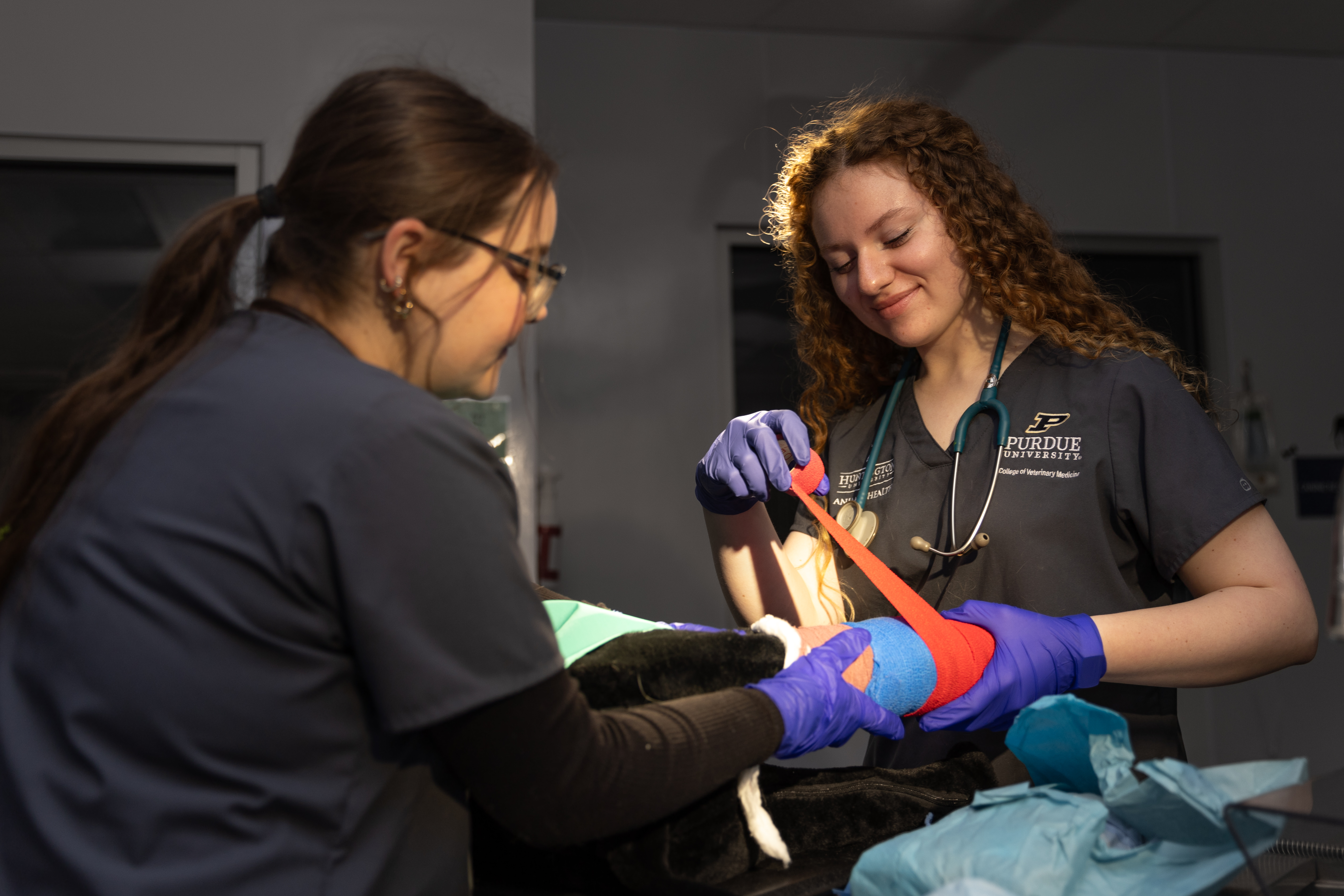 Animal Health + Veterinary Nursing | Huntington University