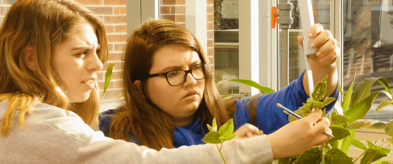 HU students working on their plant project.