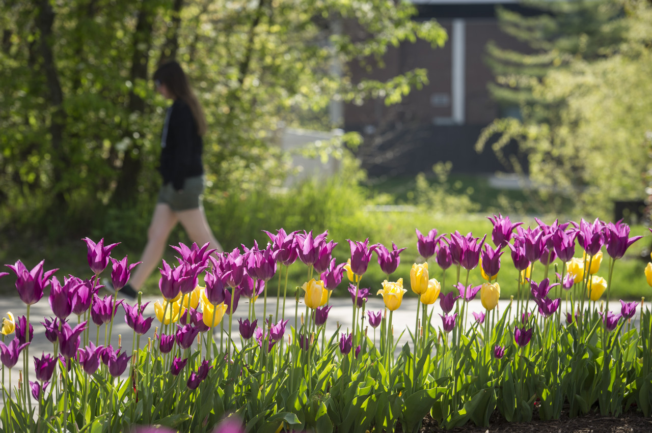 Updated Academic Schedule For Spring 2021 Huntington University A Christian College Of The Liberal Arts huntington university academic calendar 2021 2022
